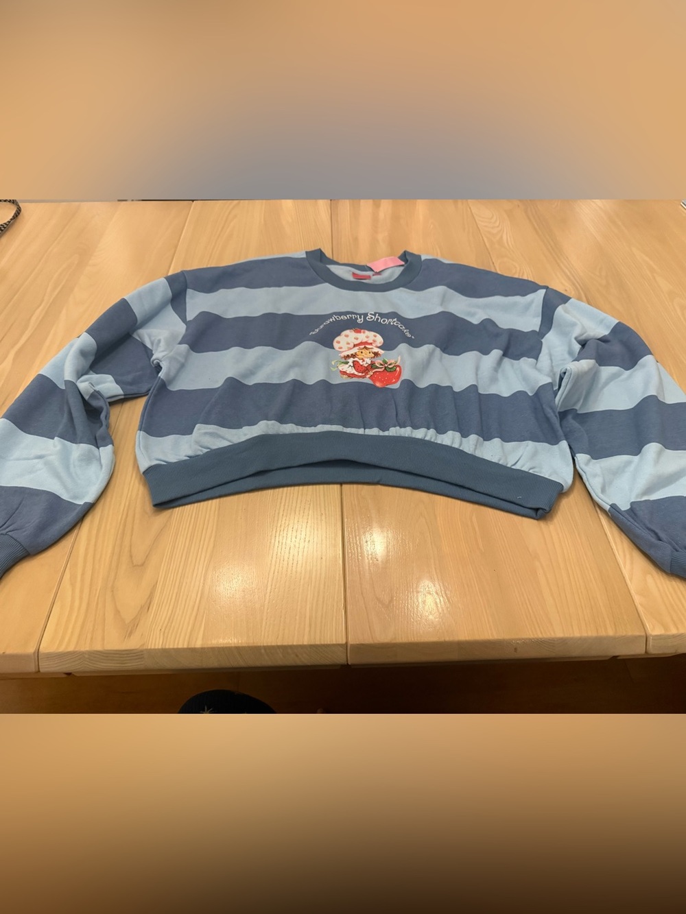 Strawberry Shortcake Striped Cropped Fleece Graphic Sweatshirt Blue & Gray
